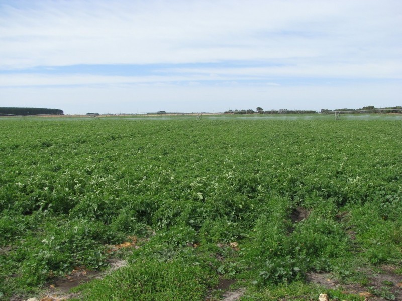 783 Burrungule Road “Slaters”, Kongorong, Burrungule SA 5291