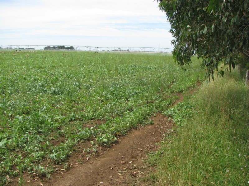 783 Burrungule Road “Slaters”, Kongorong, Burrungule SA 5291