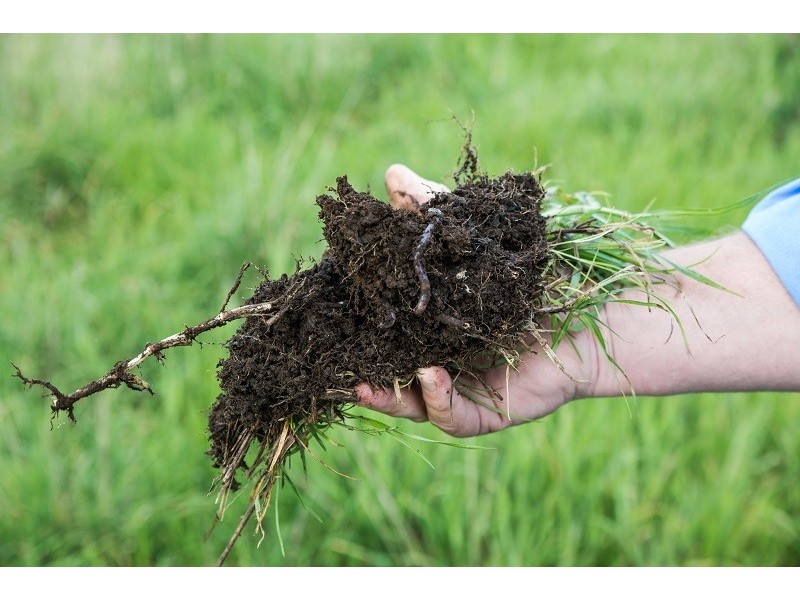 367 Carpenter Rocks Road “Yallambee”, Moorak SA 5291