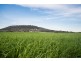 367 Carpenter Rocks Road “Yallambee”, Moorak SA 5291