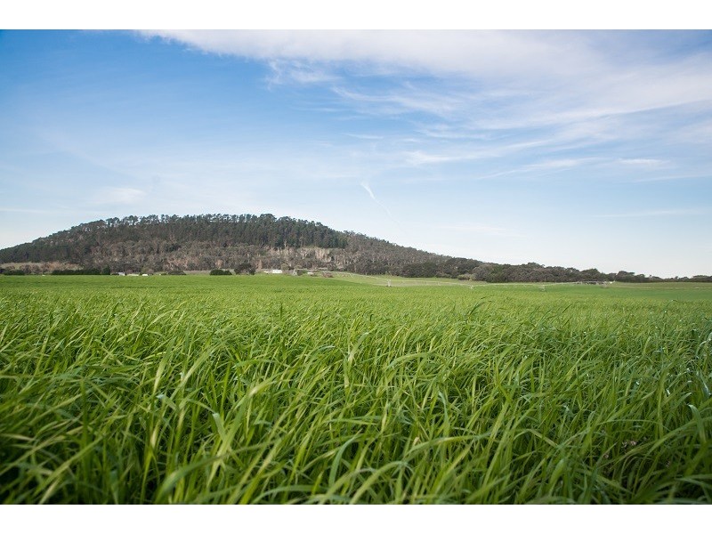 367 Carpenter Rocks Road “Yallambee”, Moorak SA 5291