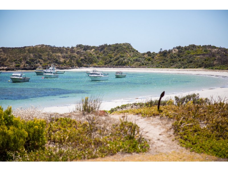 39 Carpenter Rocks Road, Carpenter Rocks SA 5291