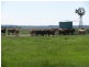 0 Bog Lane, Beachport SA 5280