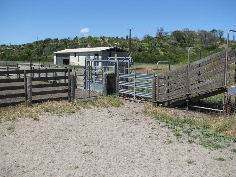 0 Bog Lane, Beachport SA 5280
