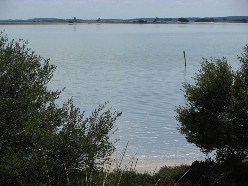 0 Bog Lane, Beachport SA 5280