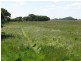 0 Bog Lane, Beachport SA 5280