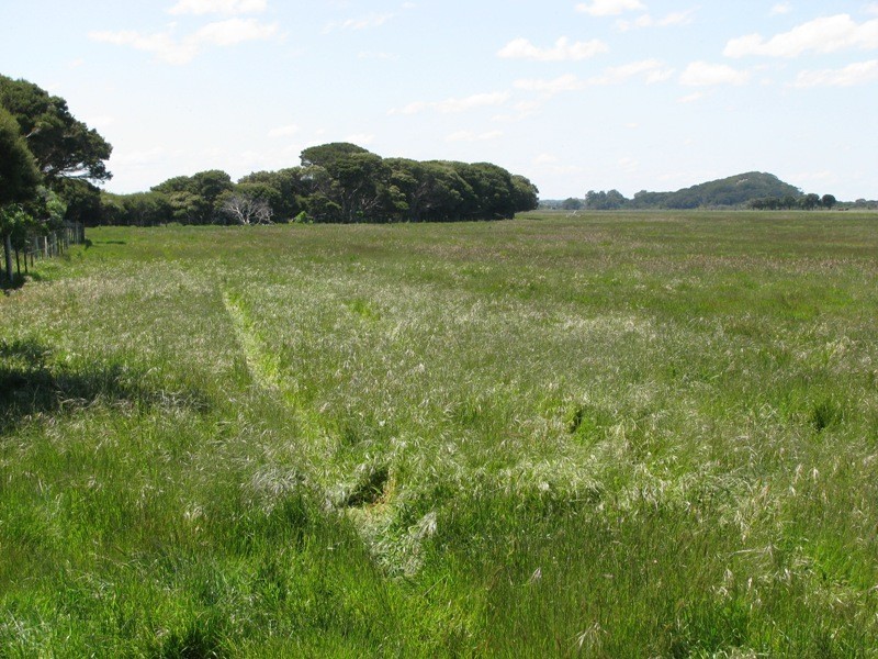 0 Bog Lane, Beachport SA 5280