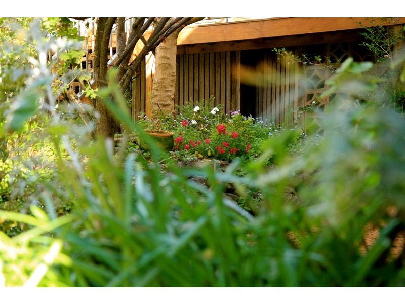 15 John Watson Drive, Mount Gambier SA 5290