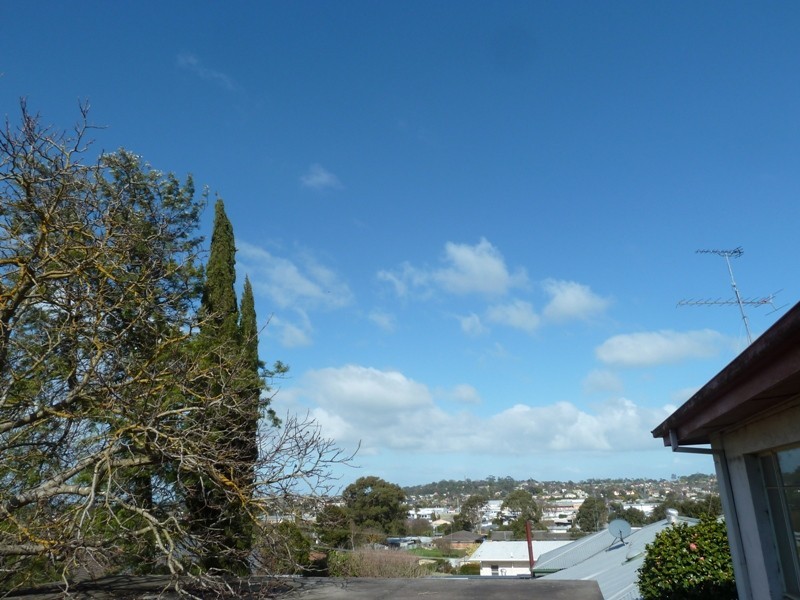 44 Crouch Street North, Mount Gambier SA 5290