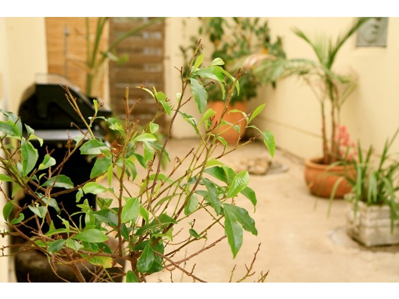 46 CANAVAN ROAD, Mount Gambier SA 5290