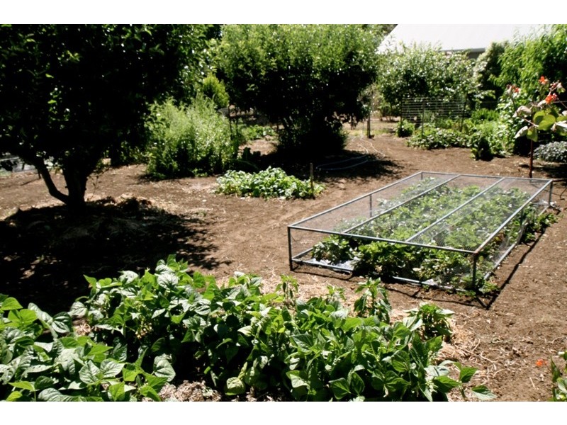 Lot 20 Wandilo Road, Mount Gambier SA 5290