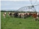 Lot 9 Ridge Road, Mingbool SA 5291