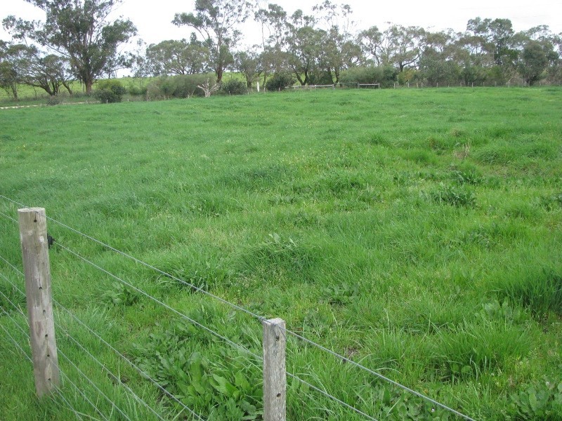 Lot 9 Ridge Road, Mingbool SA 5291