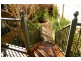 15 John Watson Drive, Mount Gambier SA 5290