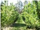 Lot 5 Dohle Road, Mount Gambier SA 5290