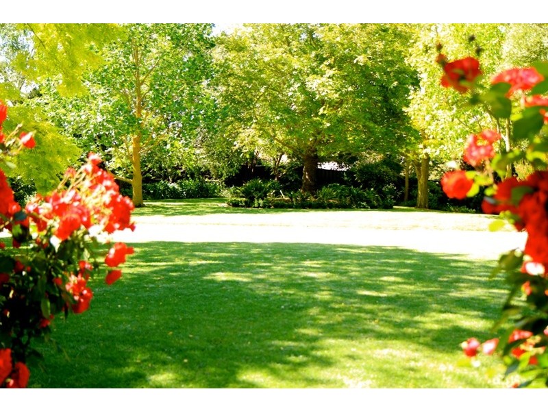 6 King Grove, Mount Gambier SA 5290