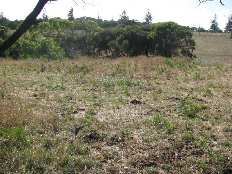 Lot 36 Black Swan Road, Nelson VIC 3292