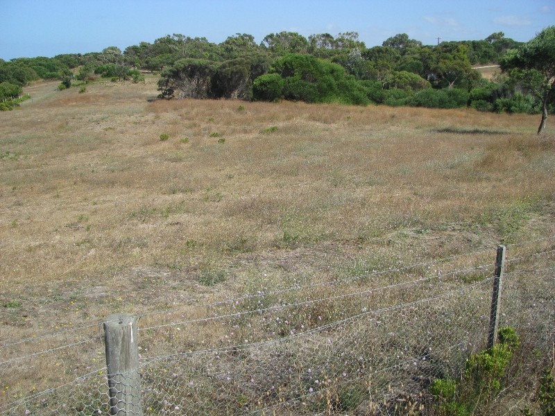 Lot 36 Black Swan Road, Nelson VIC 3292