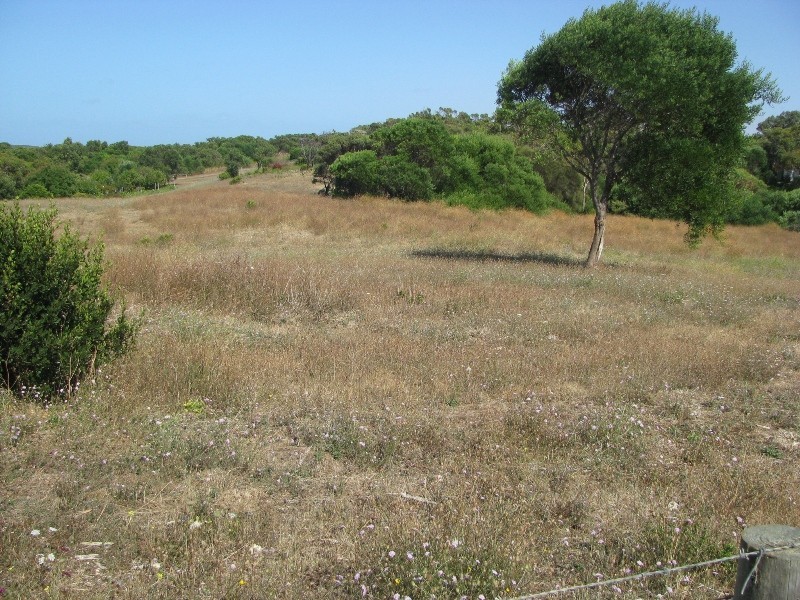 Lot 36 Black Swan Road, Nelson VIC 3292