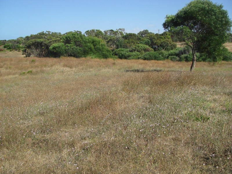 Lot 36 Black Swan Road, Nelson VIC 3292