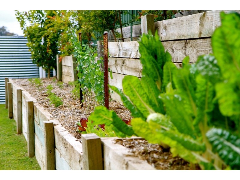 9 Kyrenia Court, Mount Gambier SA 5290