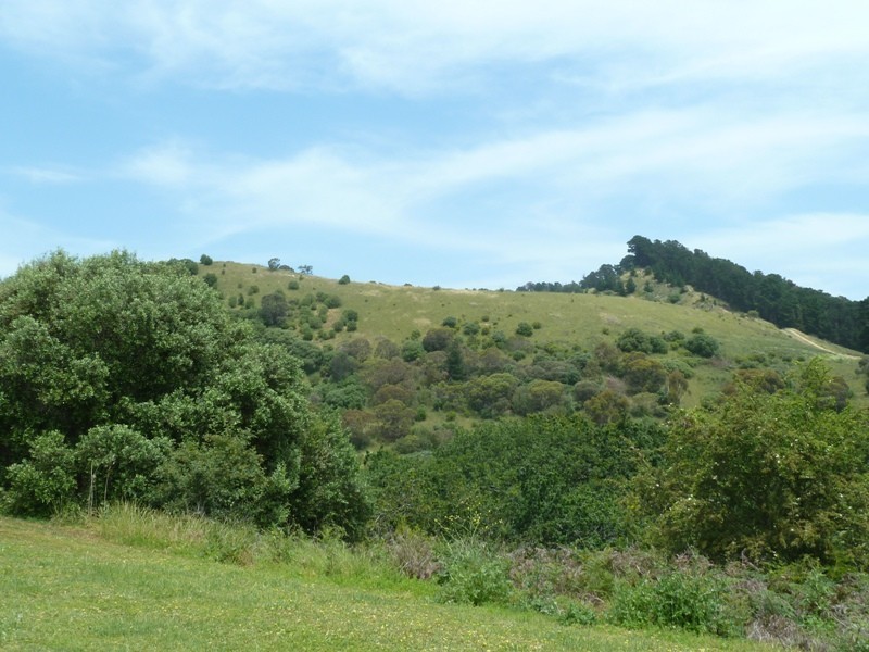 89 Shepherdson Road, Mount Gambier SA 5290