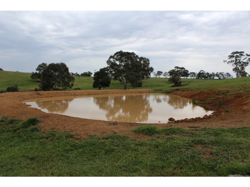 1234 Tea Tree Creek Road, Harrow VIC 3317