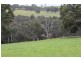 1234 Tea Tree Creek Road, Harrow VIC 3317