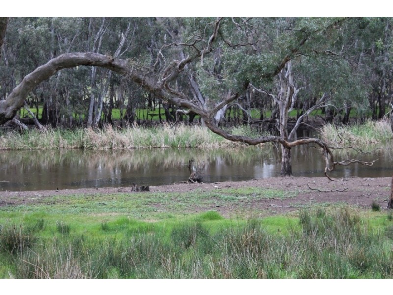 1234 Tea Tree Creek Road, Harrow VIC 3317