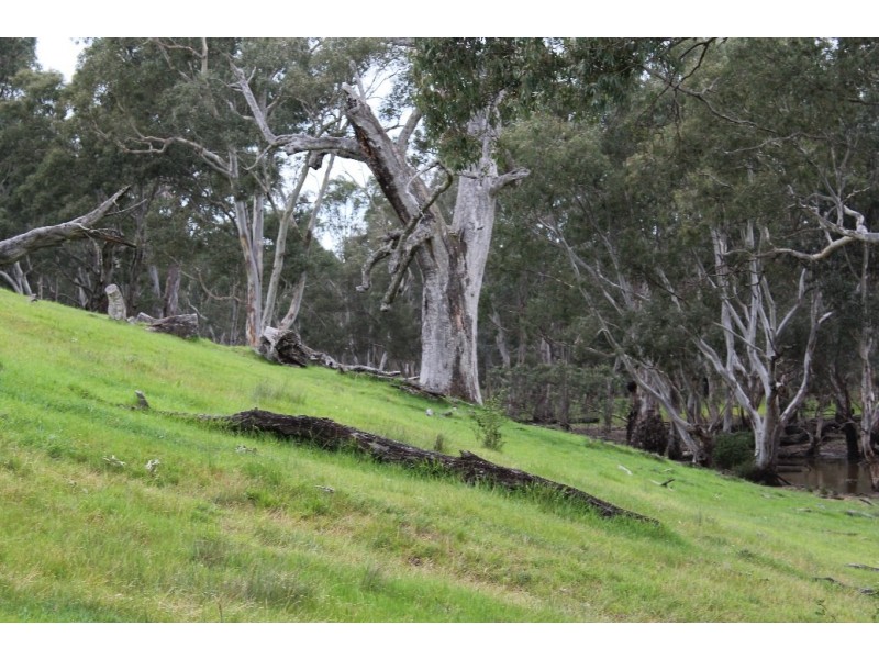 1234 Tea Tree Creek Road, Harrow VIC 3317