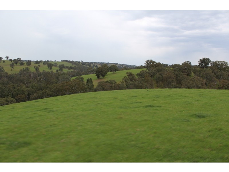 1234 Tea Tree Creek Road, Harrow VIC 3317