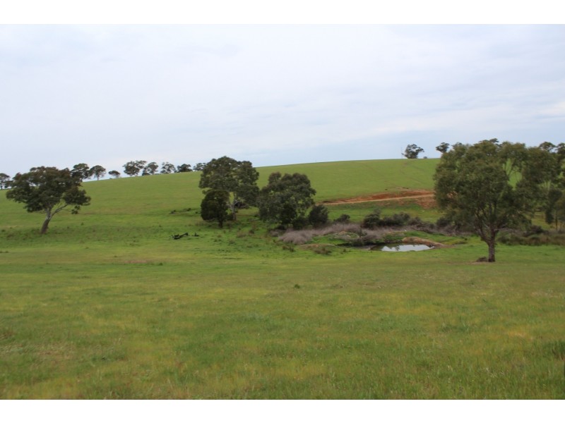 1234 Tea Tree Creek Road, Harrow VIC 3317