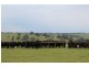1234 Tea Tree Creek Road, Harrow VIC 3317