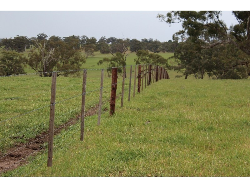 1234 Tea Tree Creek Road, Harrow VIC 3317