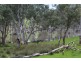 1234 Tea Tree Creek Road, Harrow VIC 3317