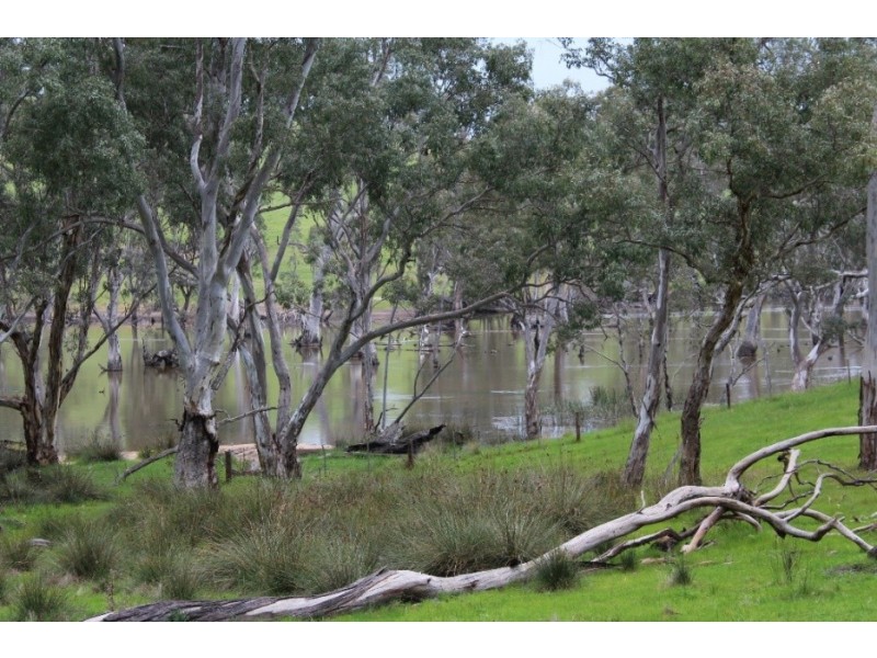 1234 Tea Tree Creek Road, Harrow VIC 3317