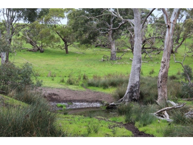 1234 Tea Tree Creek Road, Harrow VIC 3317