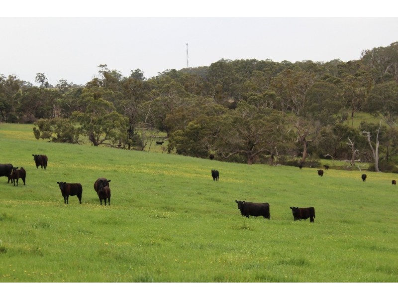 1234 Tea Tree Creek Road, Harrow VIC 3317