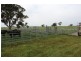 1234 Tea Tree Creek Road, Harrow VIC 3317