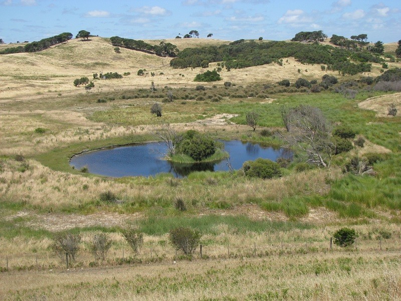 6289 Portland Road, Nelson VIC 3292