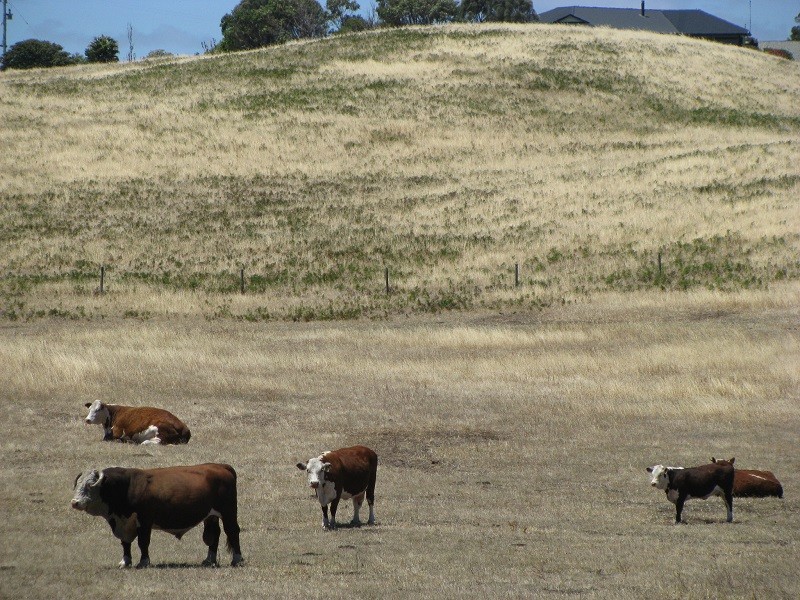 6289 Portland Road, Nelson VIC 3292