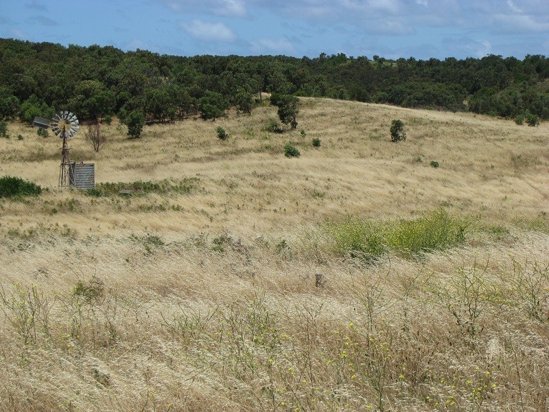 6289 Portland Road, Nelson VIC 3292