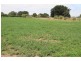 212 Fern Road, Mil Lel SA 5291