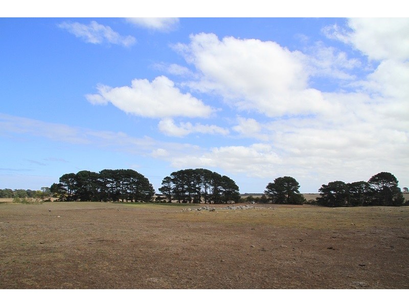 16 Hunts Road, Wye SA 5291