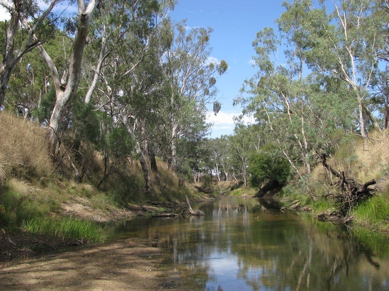 Lot 6 Grubbed Road Myaring, Strathdownie VIC 3312