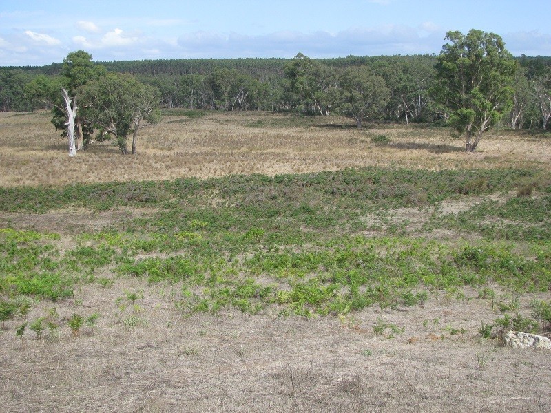 Lot 6 Grubbed Road Myaring, Strathdownie VIC 3312