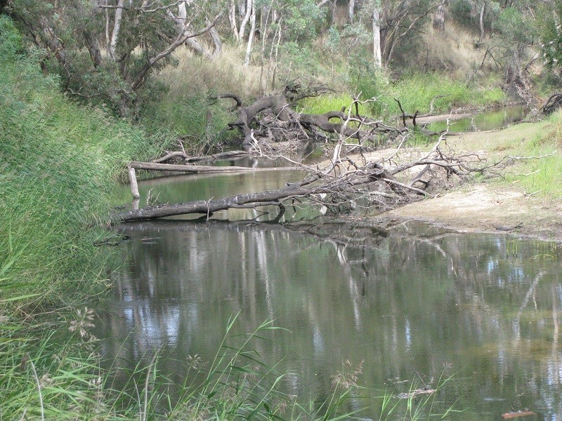 Lot 6 Grubbed Road Myaring, Strathdownie VIC 3312