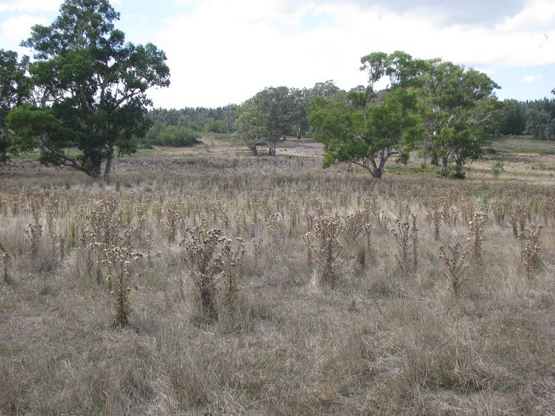 Lot 6 Grubbed Road Myaring, Strathdownie VIC 3312