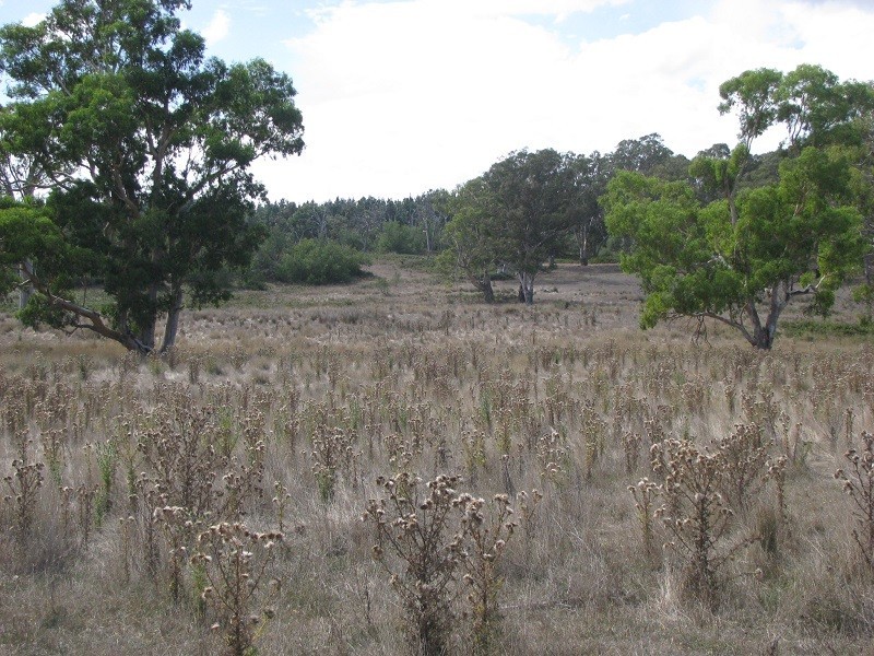 Lot 6 Grubbed Road Myaring, Strathdownie VIC 3312