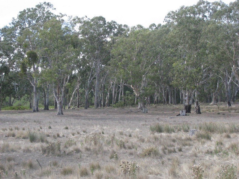 Lot 6 Grubbed Road Myaring, Strathdownie VIC 3312